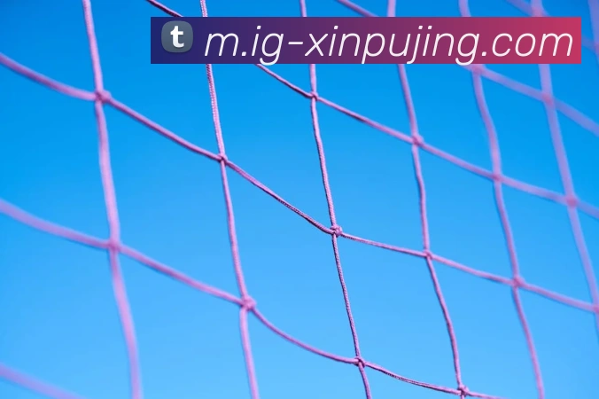 澳门新葡京娱乐APP 体育赛事宣传图